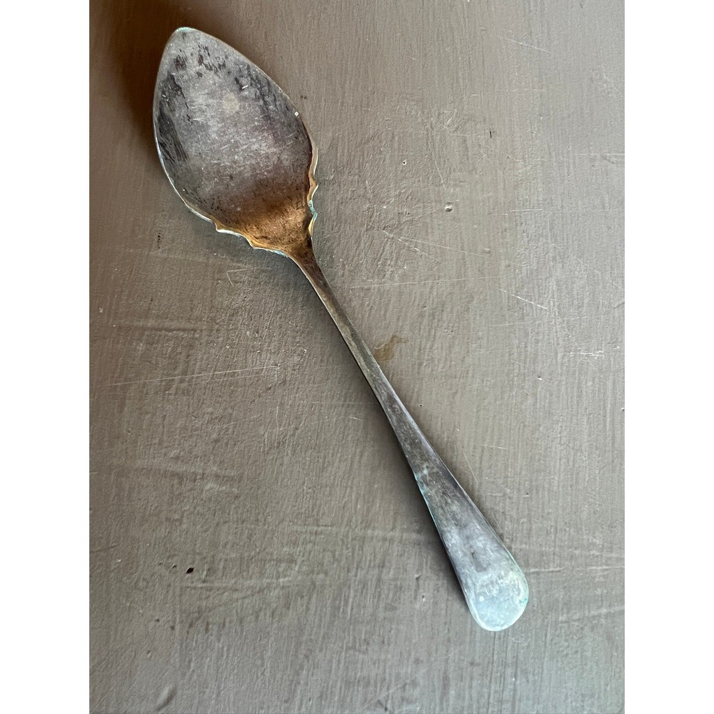 Vintage EPNS Silver Plated Salt Spoon 5" Tarnished Antique Scalloped Condiment